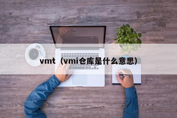 vmt(vmi仓库是什么意思)